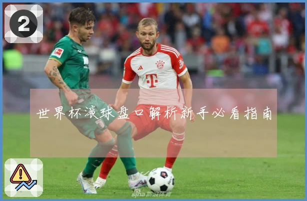 世界杯滚球盘口解析新手必看指南