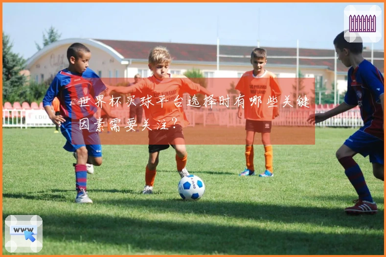 世界杯买球平台选择时有哪些关键因素需要关注？