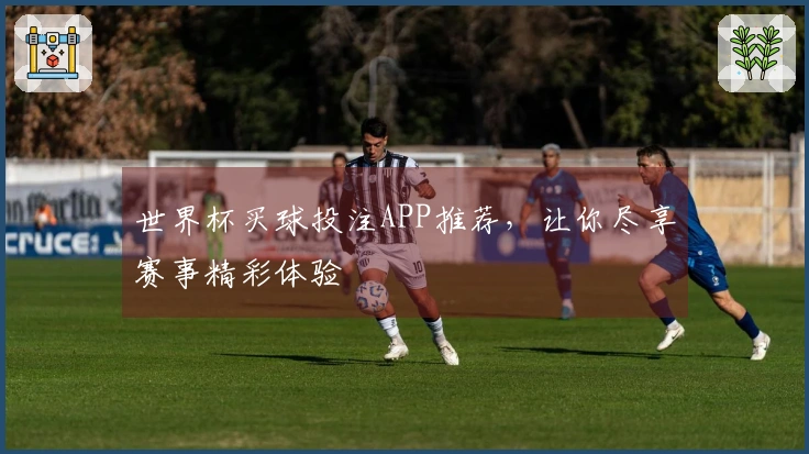 世界杯买球投注APP推荐，让你尽享赛事精彩体验