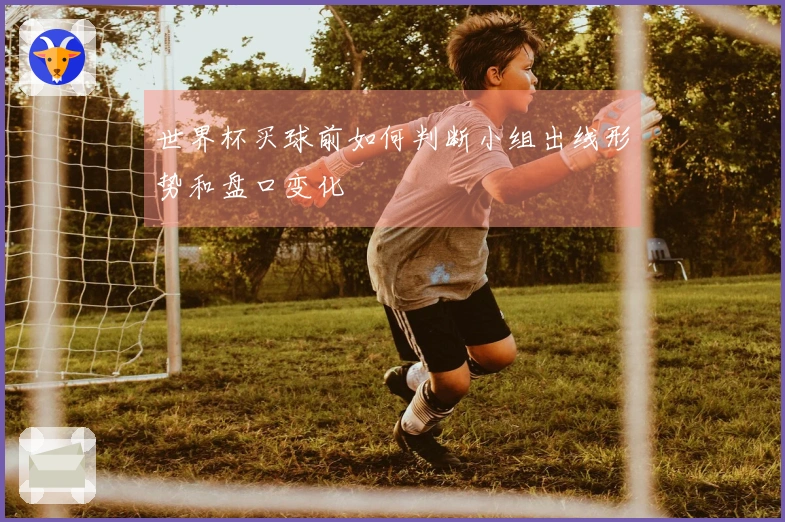 世界杯买球前如何判断小组出线形势和盘口变化