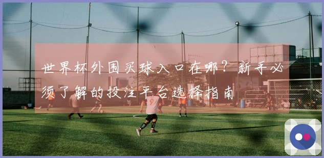 世界杯外围买球入口在哪？新手必须了解的投注平台选择指南