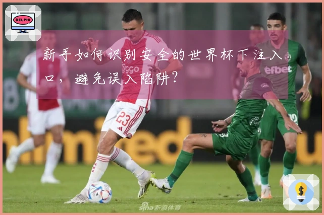 新手如何识别安全的世界杯下注入口，避免误入陷阱？