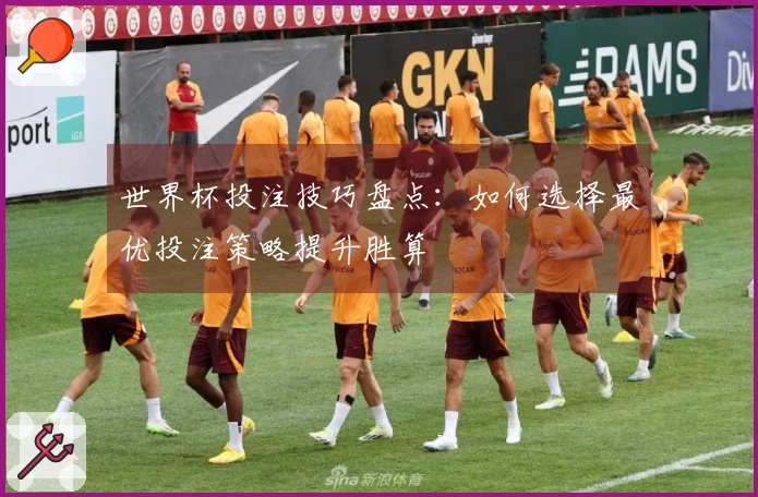 世界杯投注技巧盘点：如何选择最优投注策略提升胜算