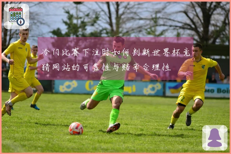 冷门比赛下注时如何判断世界杯竞猜网站的可靠性与赔率合理性