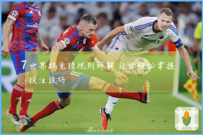 世界杯竞猜规则详解 让你轻松掌握投注技巧