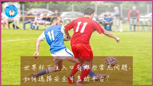 世界杯下注入口有哪些常见问题，如何选择安全可靠的平台？