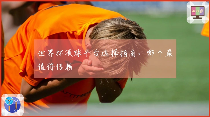 世界杯滚球平台选择指南，哪个最值得信赖