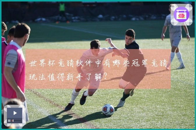世界杯竞猜软件中有哪些冠军竞猜玩法值得新手了解？