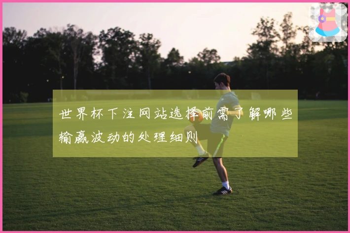 世界杯下注网站选择前需了解哪些输赢波动的处理细则