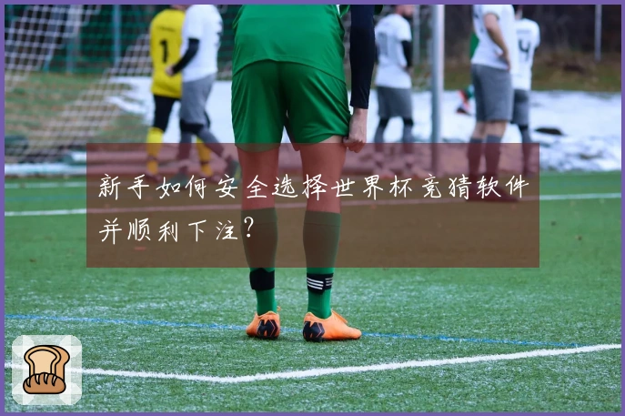 新手如何安全选择世界杯竞猜软件并顺利下注？