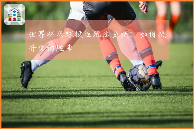 世界杯买球投注玩法分析：如何提升你的胜率