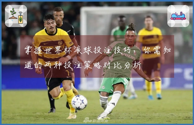掌握世界杯滚球投注技巧，你需知道的两种投注策略对比分析