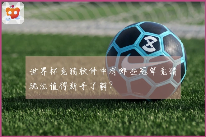 世界杯竞猜软件中有哪些冠军竞猜玩法值得新手了解？