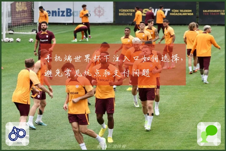 手机端世界杯下注入口如何选择，避免常见坑点和支付问题
