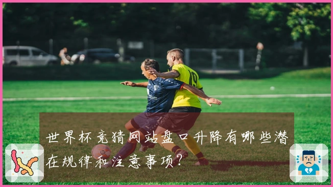 世界杯竞猜网站盘口升降有哪些潜在规律和注意事项？