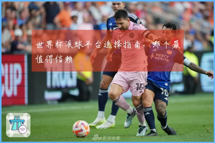 世界杯滚球平台选择指南，哪个最值得信赖
