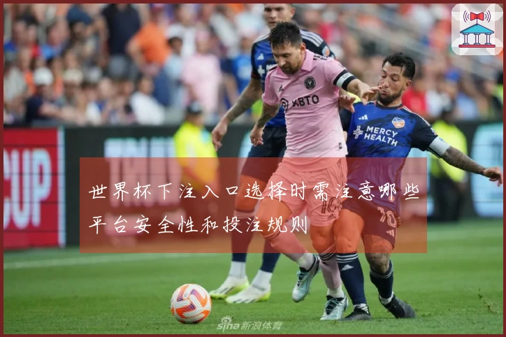 世界杯下注入口选择时需注意哪些平台安全性和投注规则