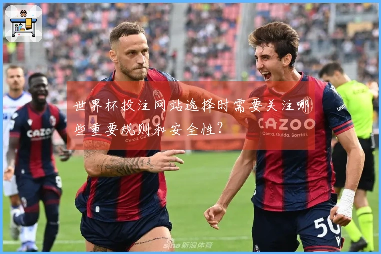 世界杯投注网站选择时需要关注哪些重要规则和安全性？