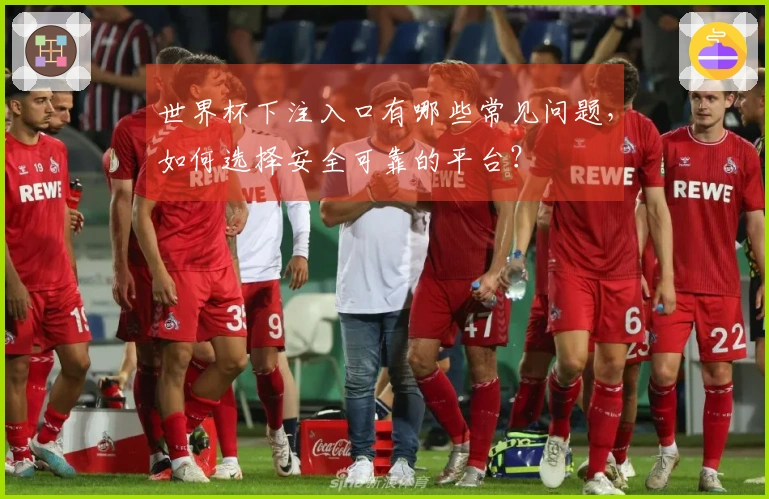 世界杯下注入口有哪些常见问题，如何选择安全可靠的平台？