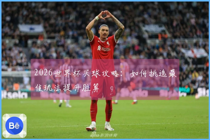 2026世界杯买球攻略：如何挑选最佳玩法提升胜算