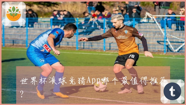 世界杯滚球竞猜App哪个最值得推荐？