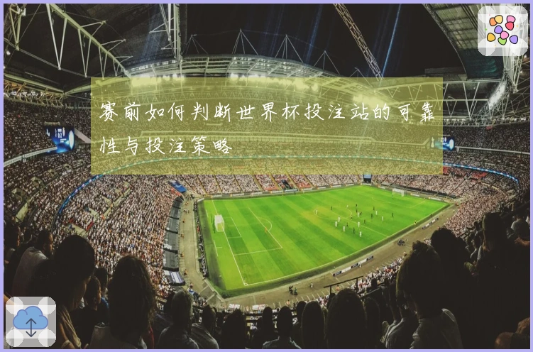 赛前如何判断世界杯投注站的可靠性与投注策略