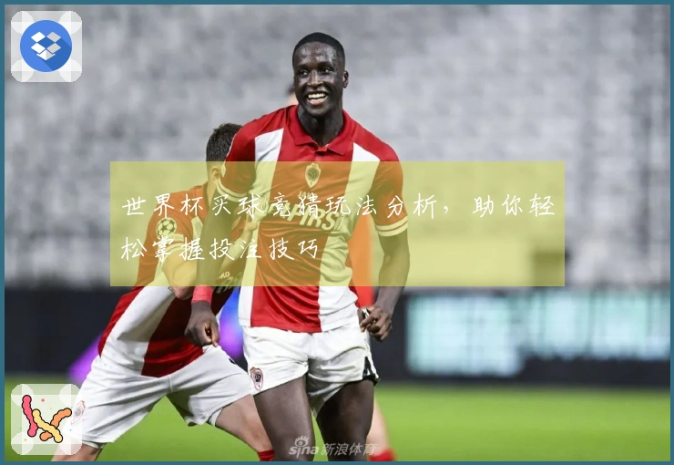 世界杯买球竞猜玩法分析，助你轻松掌握投注技巧