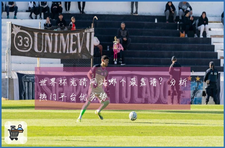 世界杯竞猜网站哪个最靠谱?分析热门平台优劣势