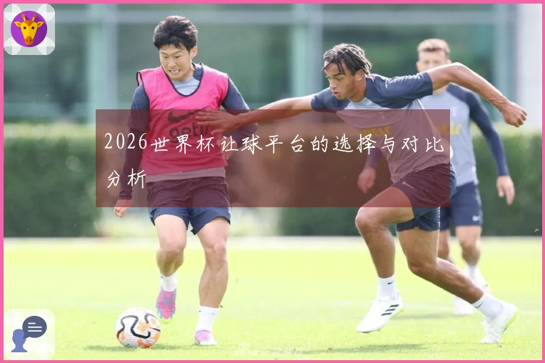 2026世界杯让球平台的选择与对比分析