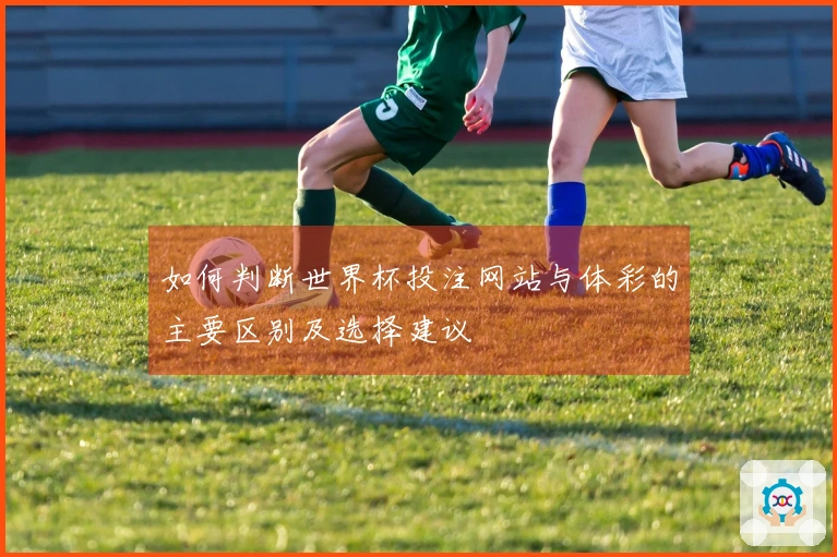 如何判断世界杯投注网站与体彩的主要区别及选择建议