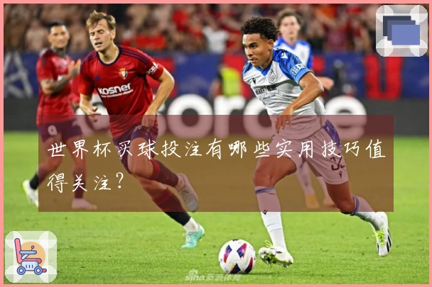 世界杯买球投注有哪些实用技巧值得关注？