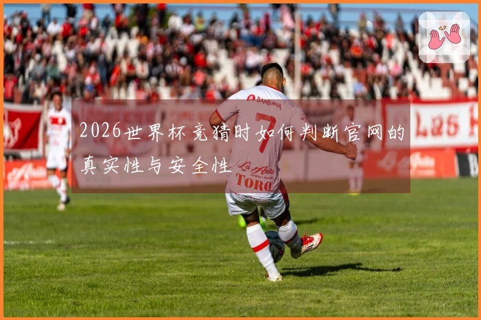 2026世界杯竞猜时如何判断官网的真实性与安全性