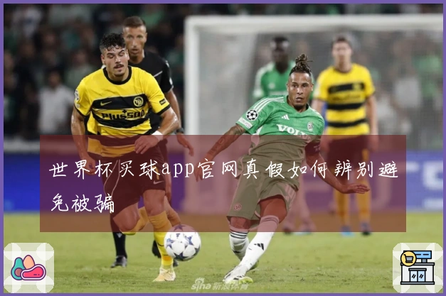 世界杯买球app官网真假如何辨别避免被骗